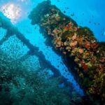 Townsville or Magnetic Island: Yongala Wreck Dive Day Trip - The Itinerary: What Youll Experience