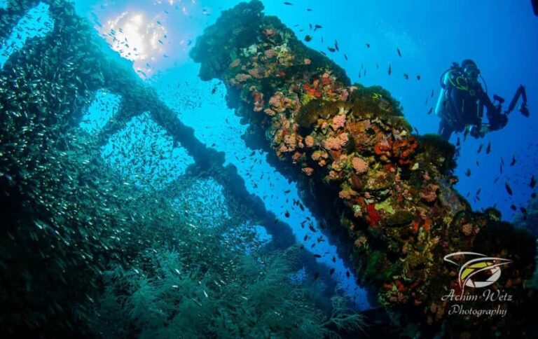 Townsville or Magnetic Island: Yongala Wreck Dive Day Trip - The Itinerary: What Youll Experience