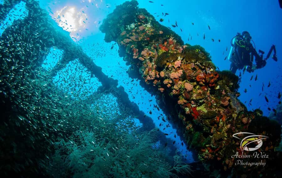 Townsville or Magnetic Island: Yongala Wreck Dive Day Trip - The Itinerary: What Youll Experience