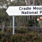 Transfer from Launceston to Cradle Mountain - Why You Should Choose This Transfer