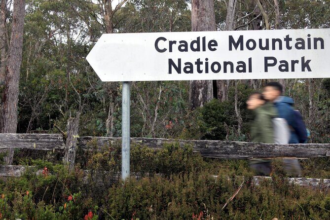 Transfer from Launceston to Cradle Mountain - Why You Should Choose This Transfer
