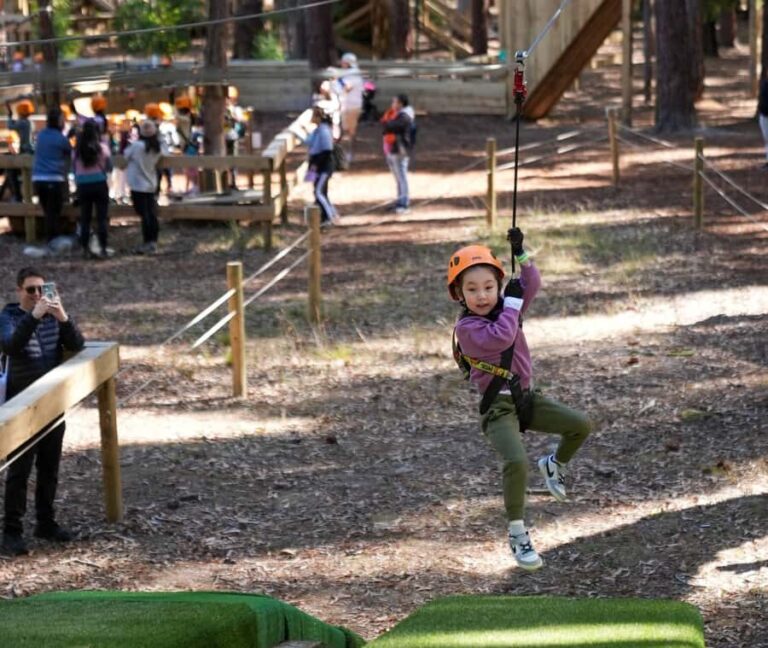 TreeClimb Kuitpo Forest: Treetop Fun For Little Adventurers - FAQ