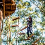 Treetops Adventure Coffs Harbour Tree Ropes Course - Why It Works for Travelers