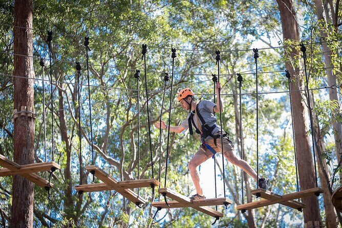 Treetops Adventure The Hills - Tree Ropes Course - Why This Adventure Works for Different Travelers