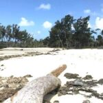 Tropical Splash Tour - Who Should Consider This Tour?