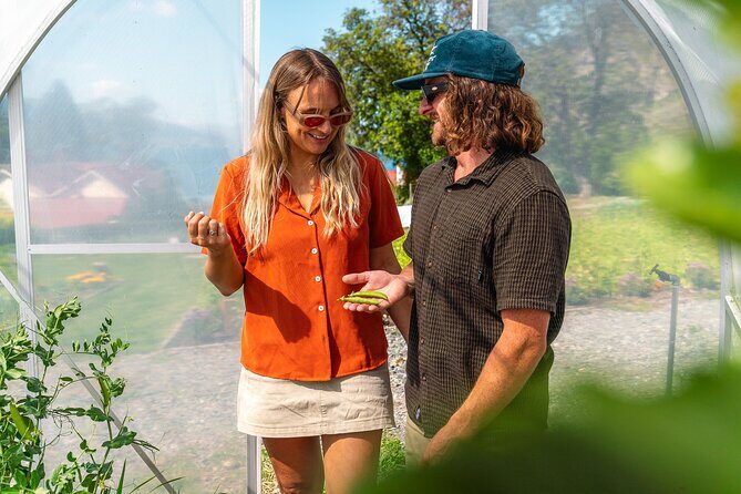 TSS Earnslaw Cruise & Walter Peak Garden to Table in Queenstown - The Itinerary: A Detailed Look at Your Journey