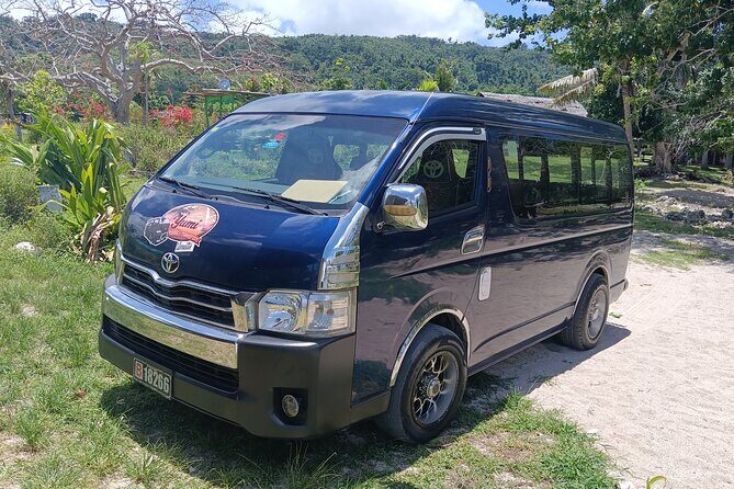 Turtle Encounter with Yumi Tours - Who Will Love This Tour?