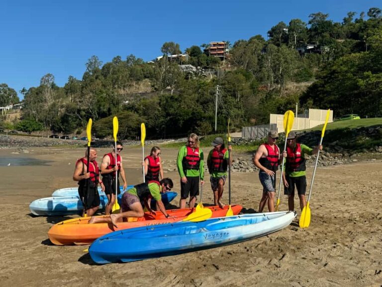 Turtle spotting-Double kayak hire Shingley beach - A Practical Look at the Kayaking Experience