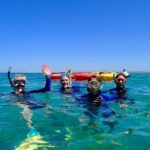 Turtle Tour - Ningaloo Reef Half Day Sea Kayak and Snorkel Tour - The Itinerary: What to Expect
