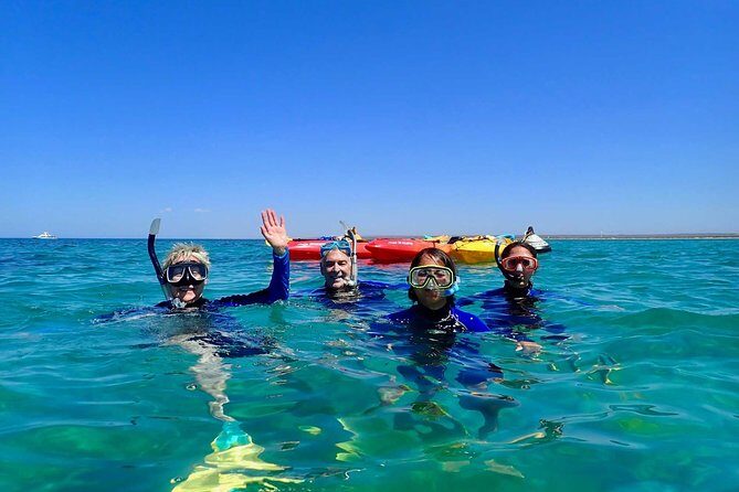 Turtle Tour - Ningaloo Reef Half Day Sea Kayak and Snorkel Tour - The Itinerary: What to Expect