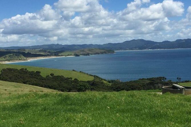 Twharanui- Get away from it all and experience New Zealand at its best - private tour - Kauri Trees and Regional Highlights