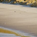 Twilight at the Opera - An In-Depth Look at the Tour Experience