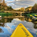 Twilight Glowworm Kayak Tour  Lake Karapiro - Who Is This Tour Best For?
