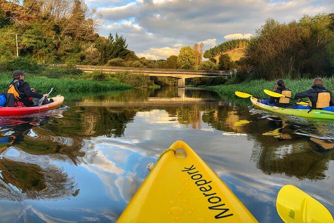 Twilight Glowworm Kayak Tour  Lake Karapiro - Who Is This Tour Best For?