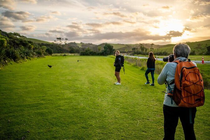 Twilight Wild Kiwi Bird Encounter Private Tour - Why This Tour Offers Value