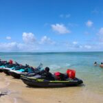 Ultimate 10 Hour Jetski Adventure from Gold Coast to Tangalooma - The Full Experience: What You Can Expect