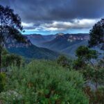Ultimate Blue Mountains and Wildlife Tour - Practical Details: What You Need to Know