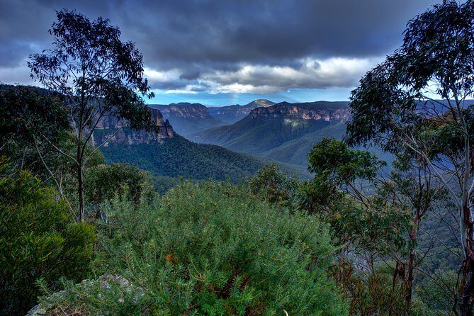 Ultimate Blue Mountains and Wildlife Tour - Practical Details: What You Need to Know