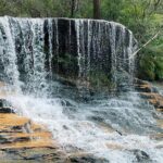 Ultimate Blue Mountains Private Tour with Scenic World and Wildlife Park - Whats Included and What It Means for You