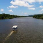 Ultimate Daintree Rainforest Wildlife Experience Cruise - An In-Depth Look at the Daintree Wildlife Cruise
