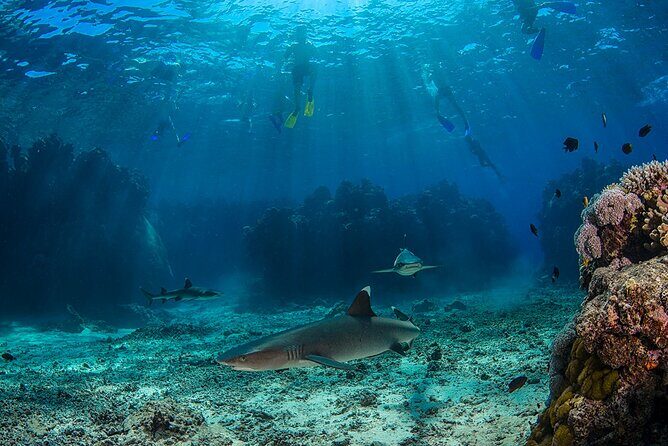 Ultimate Encounters Package - 2 Days | 1 Night - Transportation and Timing: Why It Matters