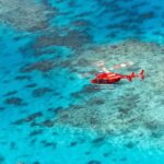Ultimate Great Barrier Reef and Rainforest 45-minute Helicopter Tour - Authentic Feedback from Travelers