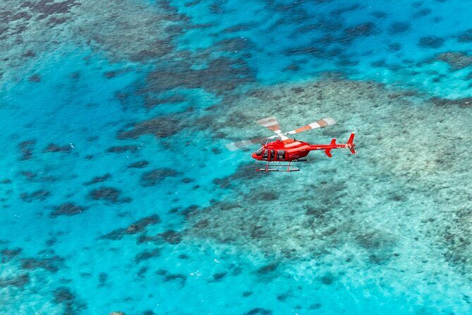 Ultimate Great Barrier Reef and Rainforest 45-minute Helicopter Tour - Authentic Feedback from Travelers