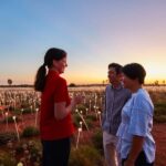 Uluru: Field of Light Sunrise Tour with Hot Drinks - The Art Installation: Field of Light