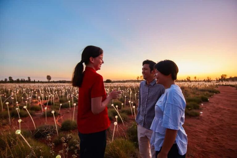 Uluru: Field of Light Sunrise Tour with Hot Drinks - The Art Installation: Field of Light