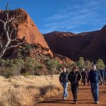 Uluru Highlights Small Group Morning Tour + Picnic Breakfast - The Value of This Experience