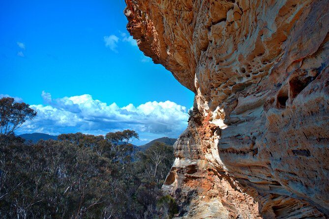 Unforgettable Blue Mountains Day Tour - Why Choose This Tour? The Highlights