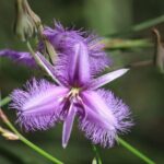 Unique and Personal BushTracks Eco Tour in Agnes Water 1770 - Practical Details and Considerations
