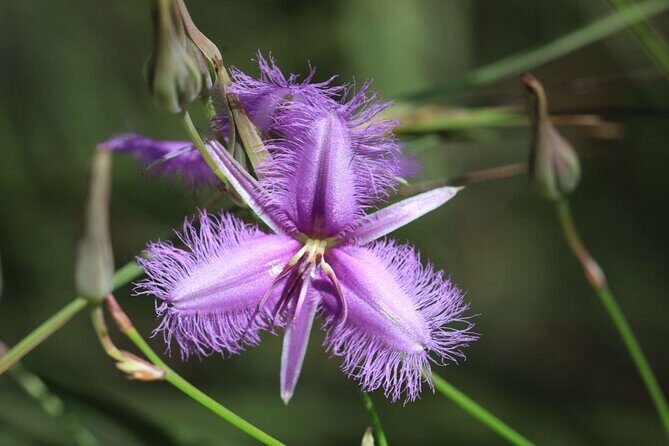 Unique and Personal BushTracks Eco Tour in Agnes Water 1770 - Practical Details and Considerations