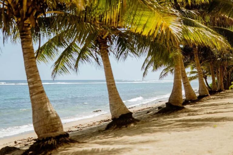 Upolu Samoa Full Day Private Tour - Exploring Upolu: What to Expect from this Tour