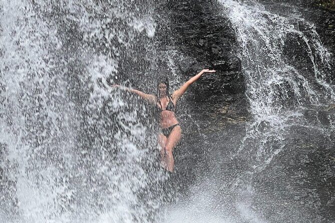 UTV 4wd Cassowary Falls and Daintree Rainforest Adventure tour - The Itinerary in Detail