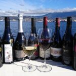 Valleys of Vino Full Day Tour - Transportation, Group Size, and Overall Comfort