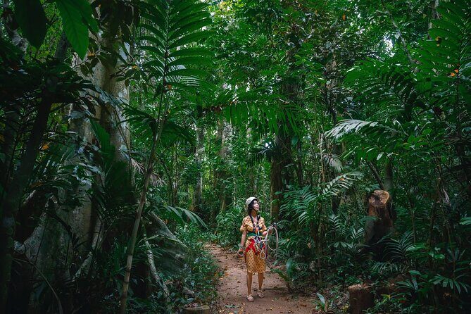 Vanuatu Skybridge with Transfers - Practical Details and Tips