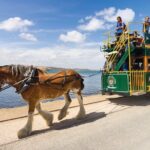 Victor Harbor and Southern Highlights from Adelaide - Who Is This Tour Best For?