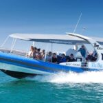 Victor Harbor: Seal Island Cruise - What’s Included and What to Consider