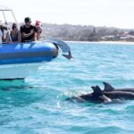 Victor Harbor: Southern Ocean Adventure Cruise with Guide - The Value and Comfort of the Tour