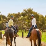 Vineyard Trail Ride and Taste at Jacobs Creek - Who Will Love This Experience?