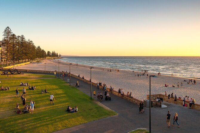 Vistas and Wines: Adelaides Gems and Wine Private Tour - Authentic Experiences and Traveller Insights