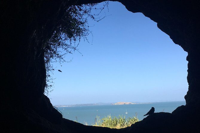 Volcanoes, Coasts, and Secret Spots Afternoon Tour in Auckland - Practical Considerations