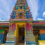 Vuda Lookout, Vesisei Village, Market, Temple & Garden of Sleeping Giant Tour - The Practicalities: Logistics and Value