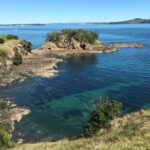 Waiheke Island Double Headland Coastal Walk - Authentic Traveler Insights