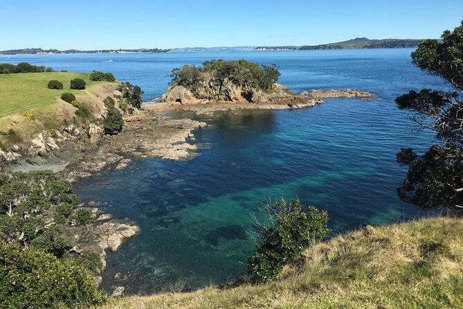 Waiheke Island Double Headland Coastal Walk - Authentic Traveler Insights