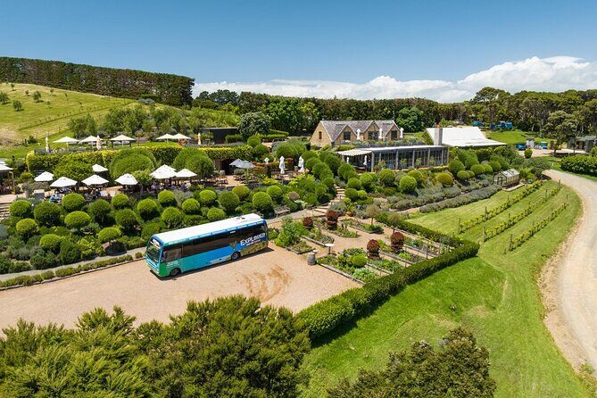 Waiheke Island Hop-On Hop-Off Explorer Bus - In-Depth Look at Stops and Attractions