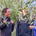 Waiheke Island: Premium Vineyard, Wine Tasting and Bush Walk - Scenic Highlights & Wildlife Encounters