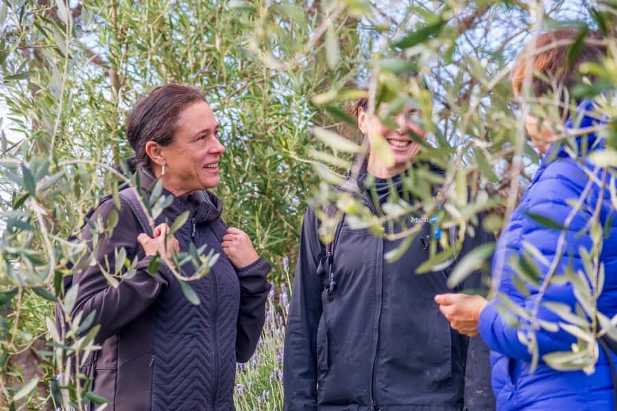 Waiheke Island: Premium Vineyard, Wine Tasting and Bush Walk - Scenic Highlights & Wildlife Encounters