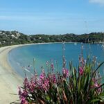 Waiheke Island Private Tours - The Itinerary in Detail
